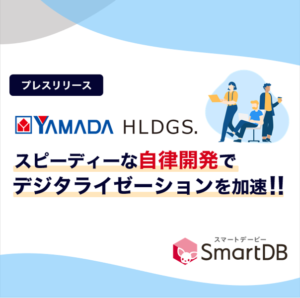 株式会社ヤマダホールディングス