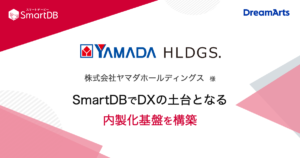 株式会社ヤマダホールディングス