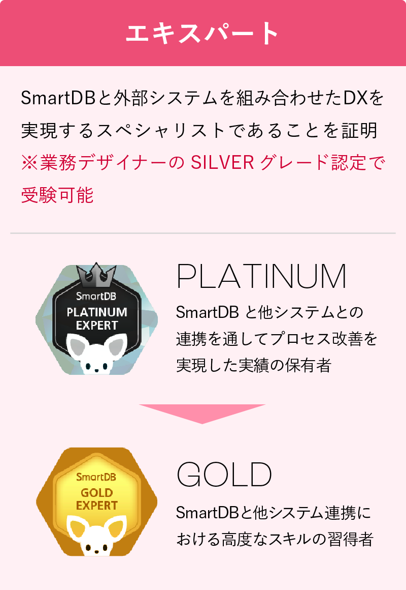 3つの種類と6つのグレード エキスパート