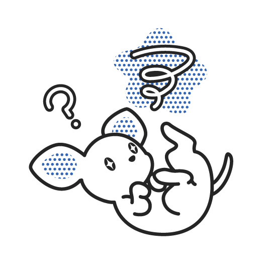 SmartDBの運用で悩んでいる・相談相手が欲しい方